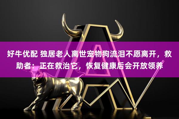 好牛优配 独居老人离世宠物狗流泪不愿离开，救助者：正在救治它，恢复健康后会开放领养